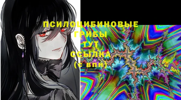 каннабис Богданович