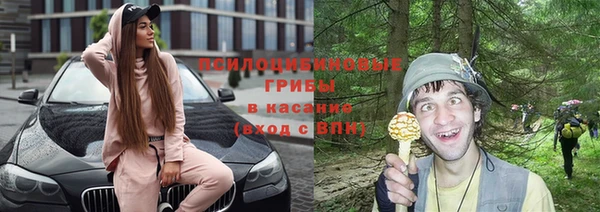 каннабис Богданович