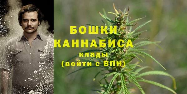каннабис Богданович