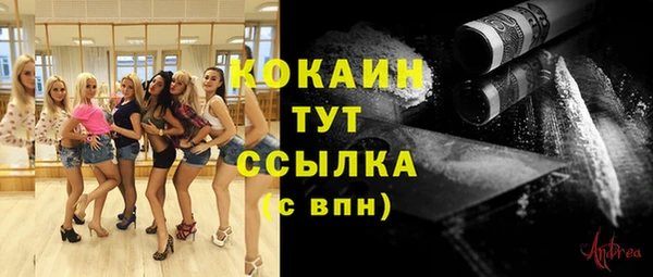 каннабис Богданович