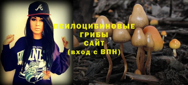 мдма Богородск