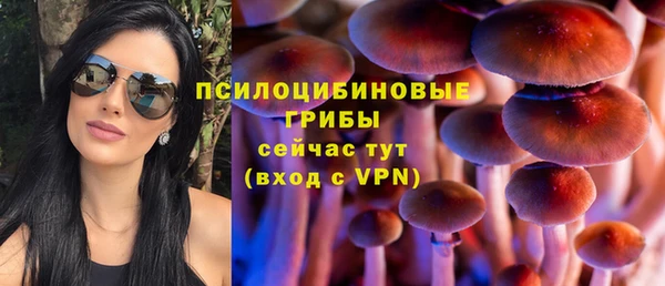 гашишное масло Богородицк